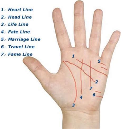 Exploring the different schools of palmistry